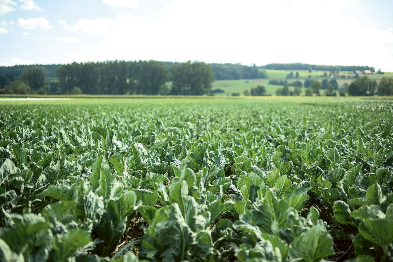Frische, regionale und nachhaltige Produkte direkt vom Bio-Hof.