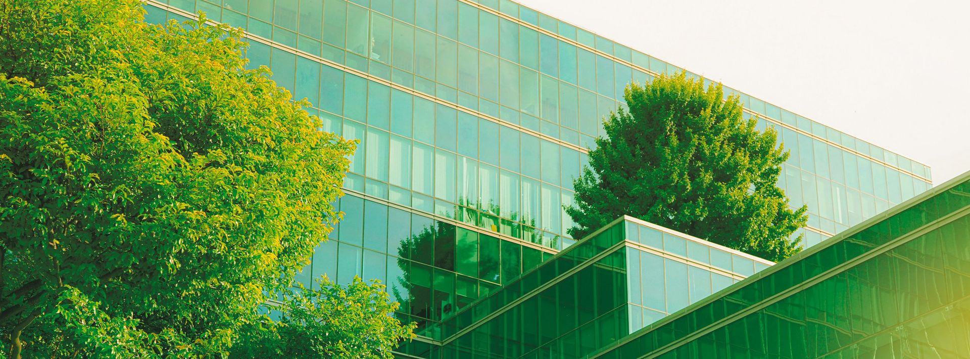 NACHHALTIGKEIT IM GESUNDHEITSWESEN