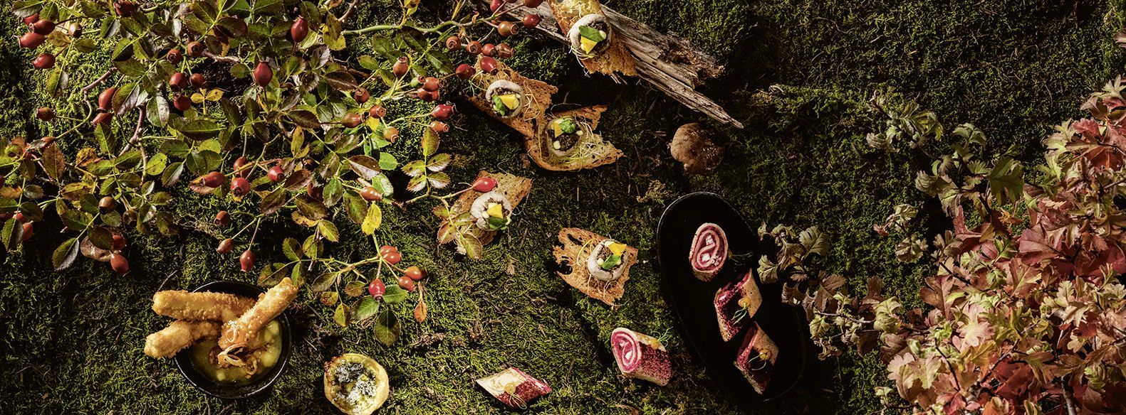 Die Natur bietet unendliche Geschmacks- und Geruchsnuancen. Davon inspiriert, entstanden diese Häppchen für das Gastrofacts-Coverbild.