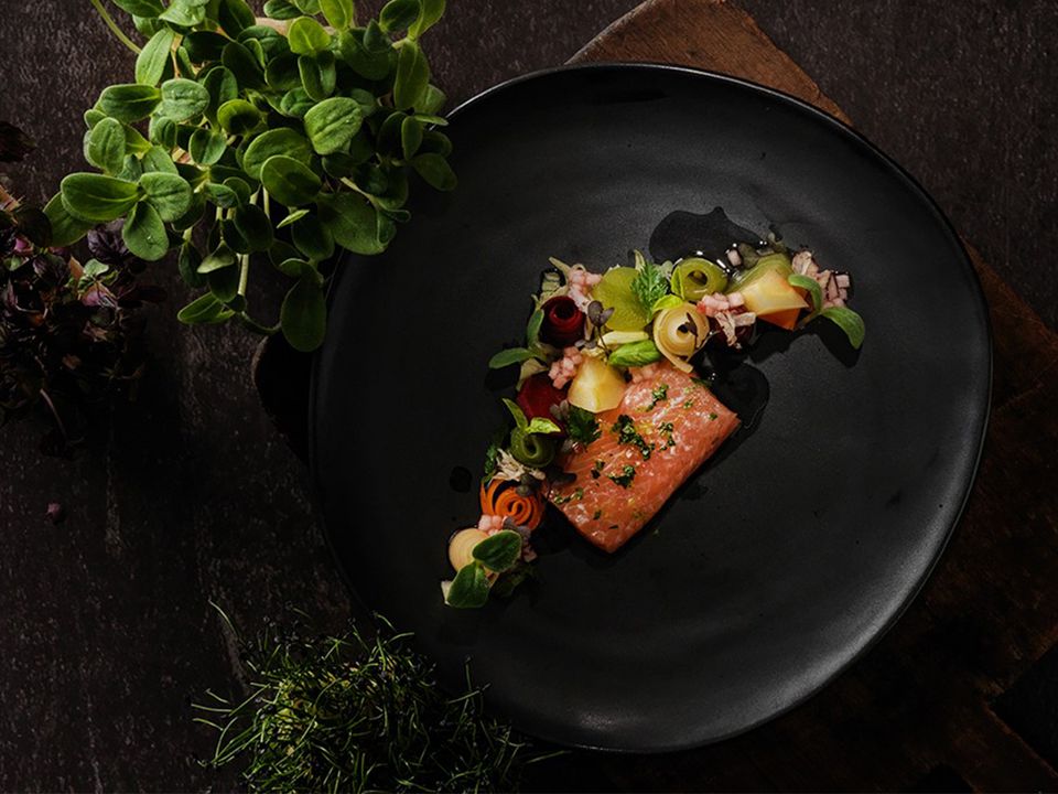 Vertical Farming: Kochprofis werden zu Gärtnern