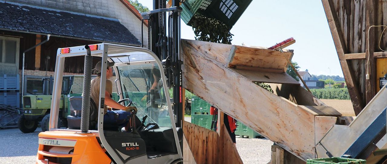 Vom Feld kommen die Gurken in eine Sortiermaschine und werden nach Grössen getrennt.