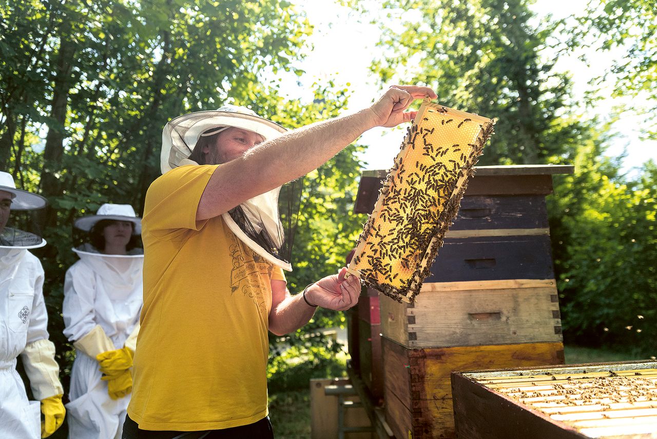 The Alpina Gstaad ist das erste und bislang einzige Schweizer Unternehmen mit der Gold-Zertifizierung von EarthCheck.