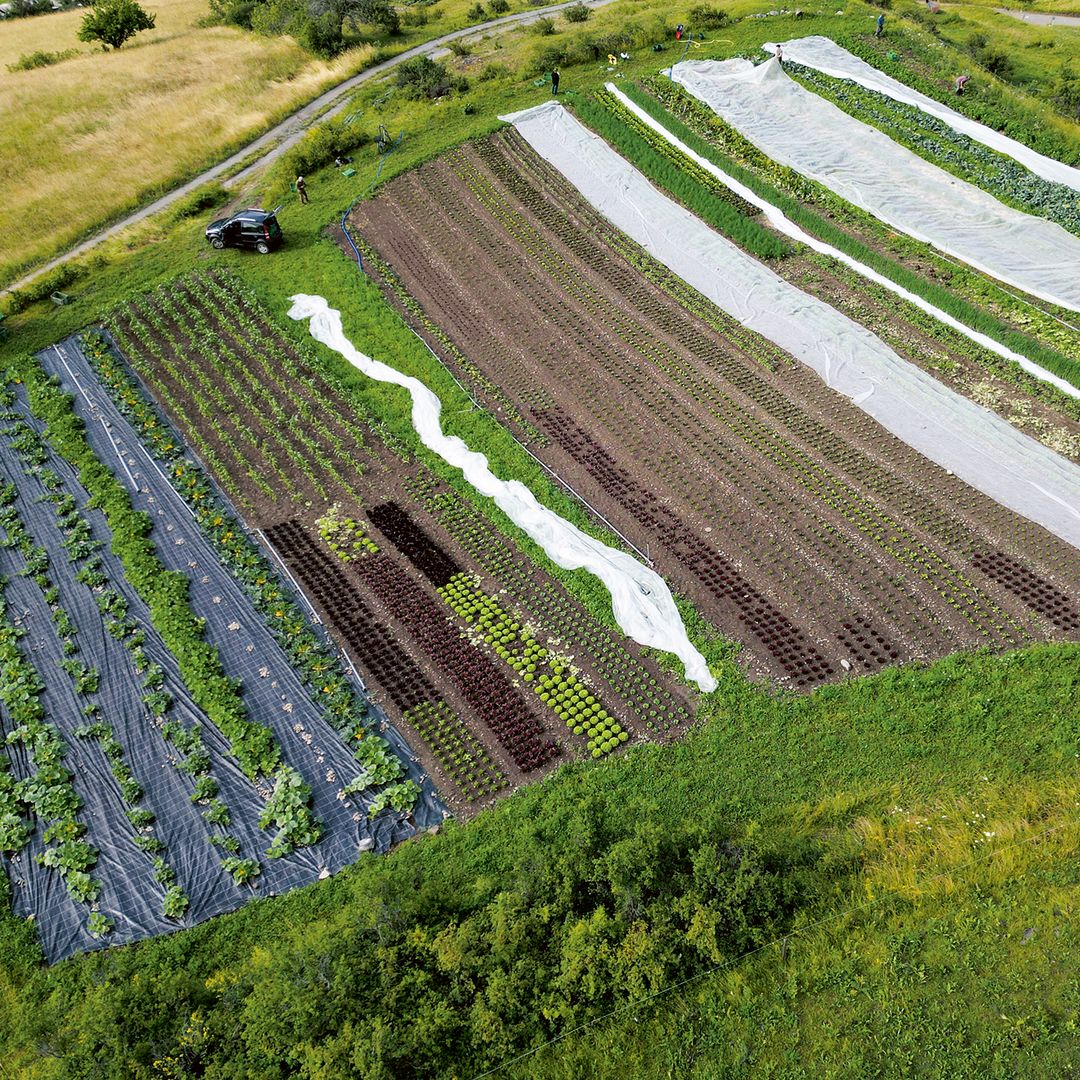 Die regenerative Landwirtschaft bietet viele Möglichkeiten.