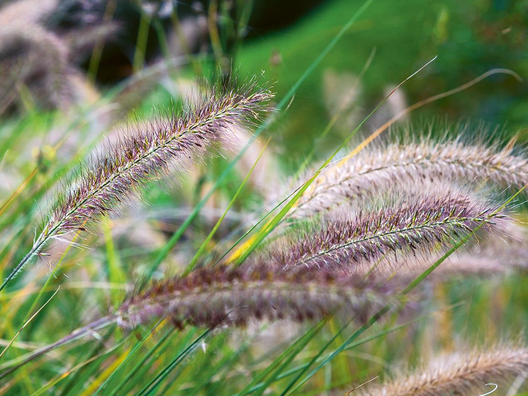 Nachhaltige Garten & Gartenmöbel Trends 2023