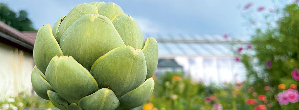 Das Zehendermätteli ist mehr als ein beliebtes Ausflugsziel.