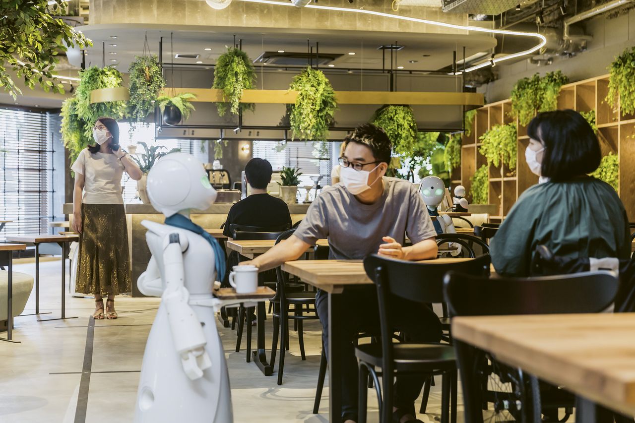 Menschen mit schweren Beeinträchtigungen fernsteuern die Roboter – und interagieren so mit den Gästen.