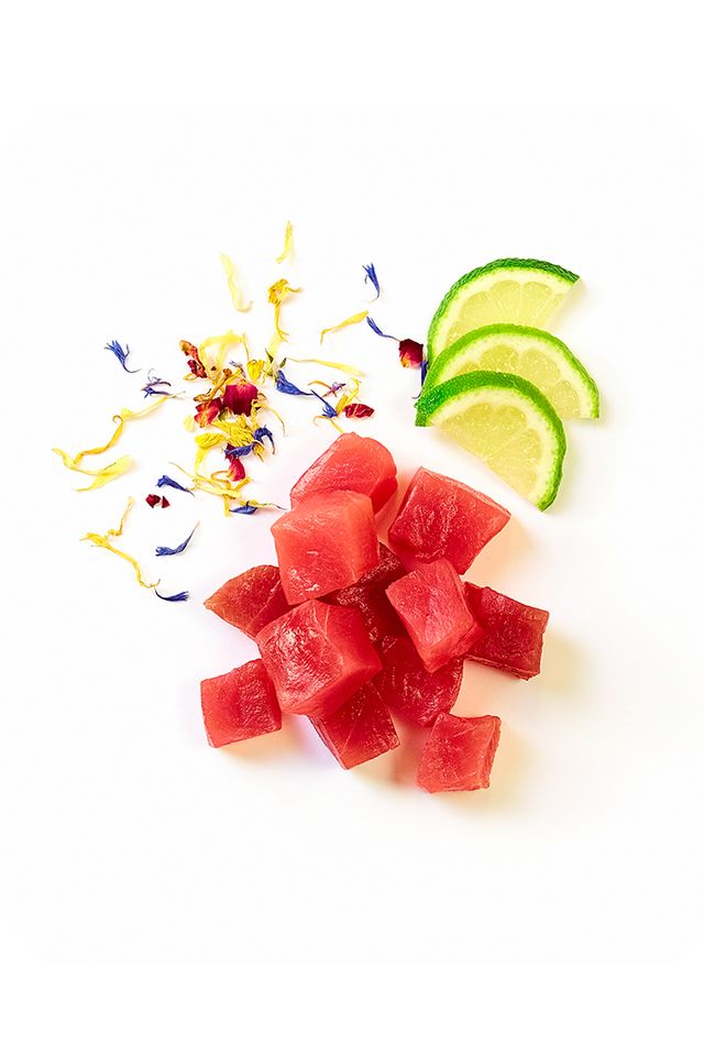 KABUKI Salad Topping Thunfisch