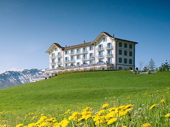 Hotel Villa Honegg