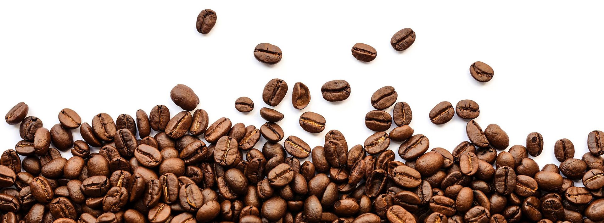 WELCHE KAFFEEMASCHINE IST DIE RICHTIGE?