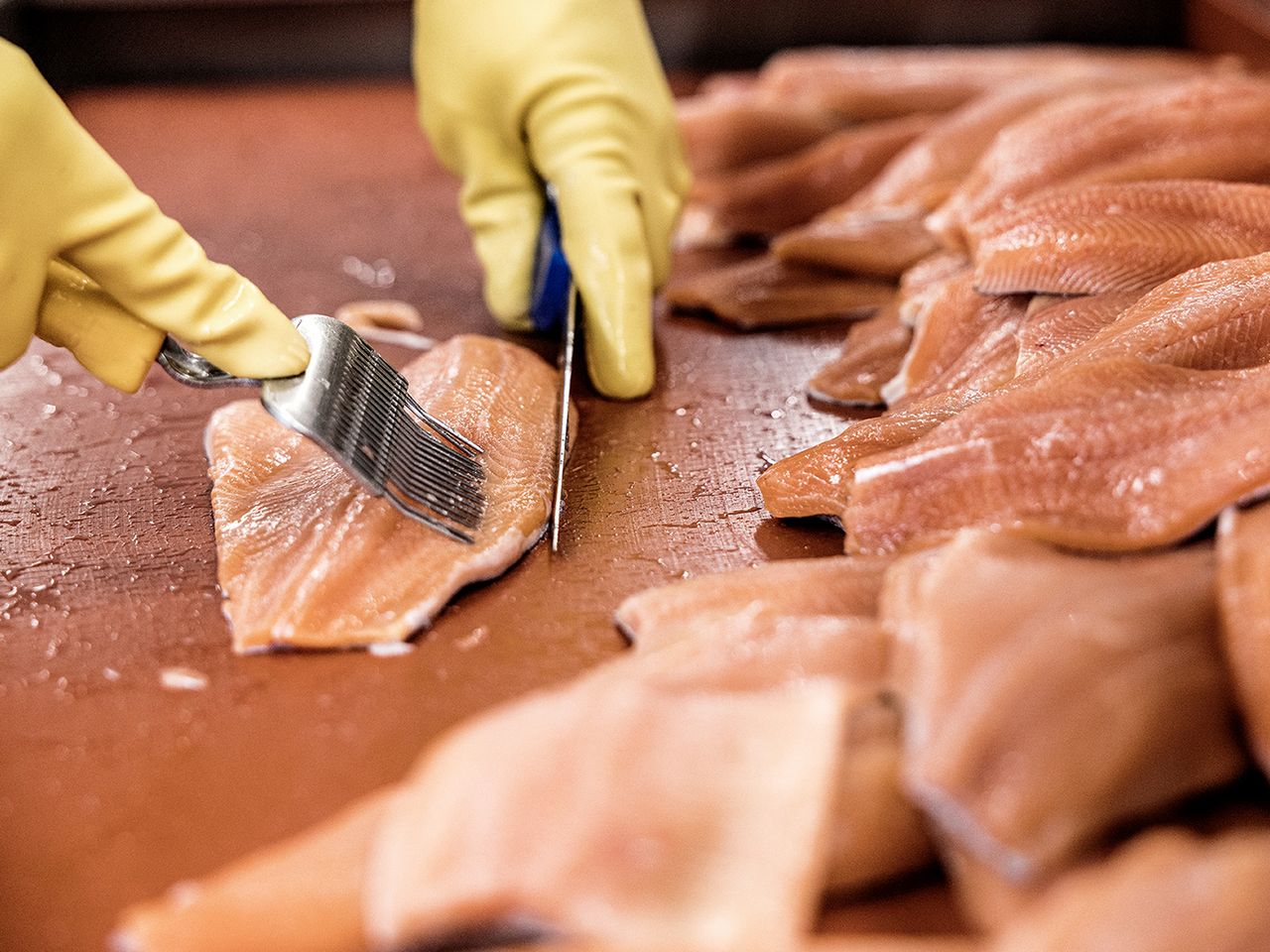 In Handarbeit werden die Filets für den Handel bereitgemacht