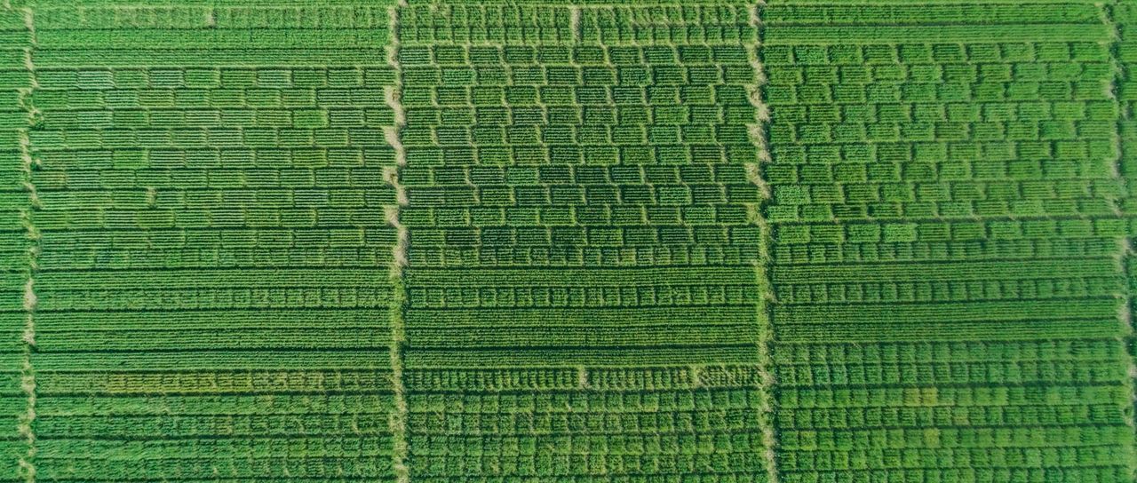 Felder  Svizra-AgriCultura