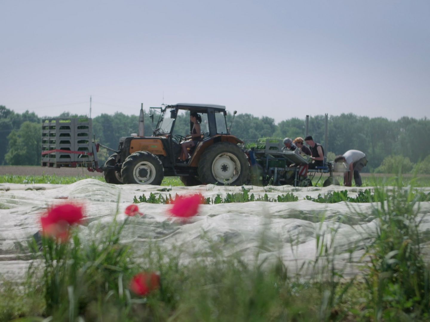 Landwirtschaft