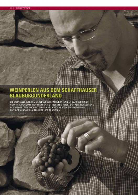 Bildansicht der Seite