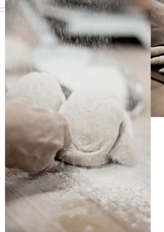 Bildansicht der Seite