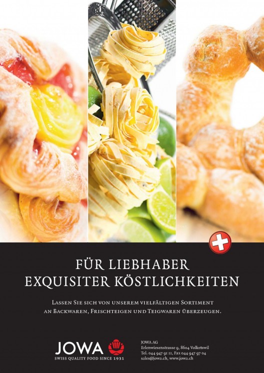 Bildansicht der Seite