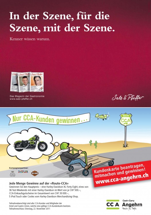 Bildansicht der Seite