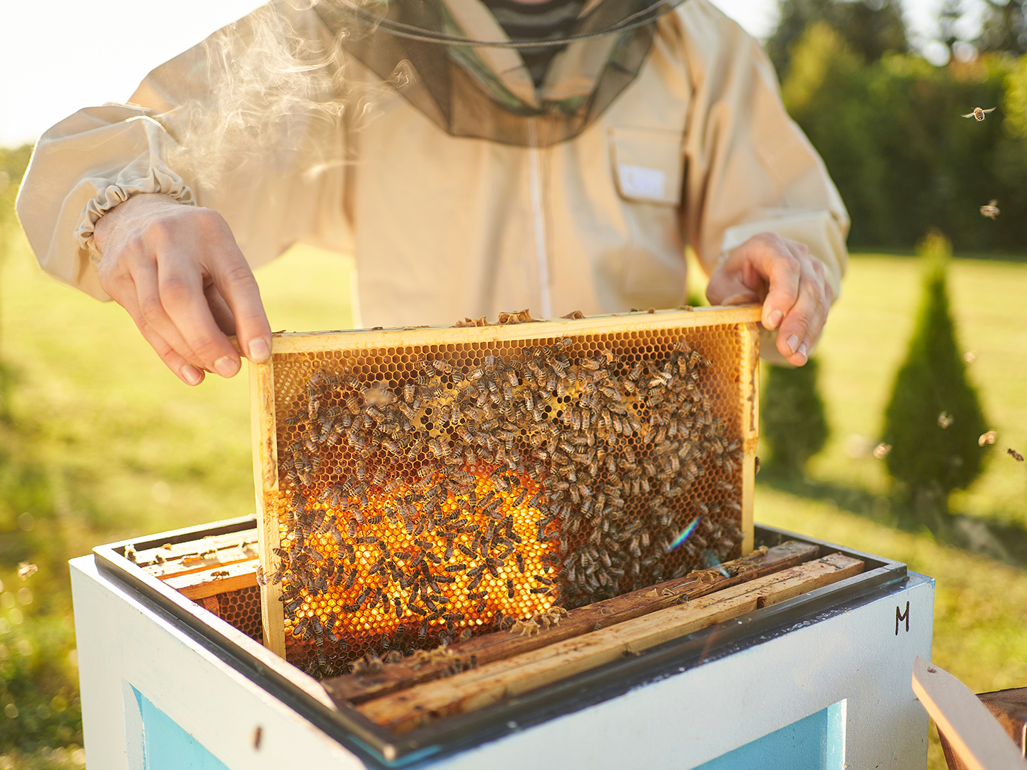 39 Imkerinnen und Imker freuen sich über ihren Fachausweis
