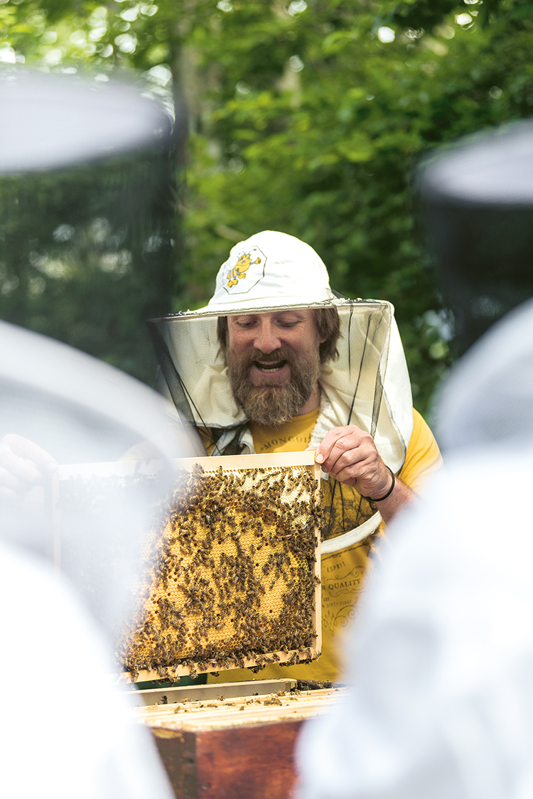Bienenworkshop in Gstaad: Auch die Hotelgäste werden mit einem Schutzanzug ausgerüstet.