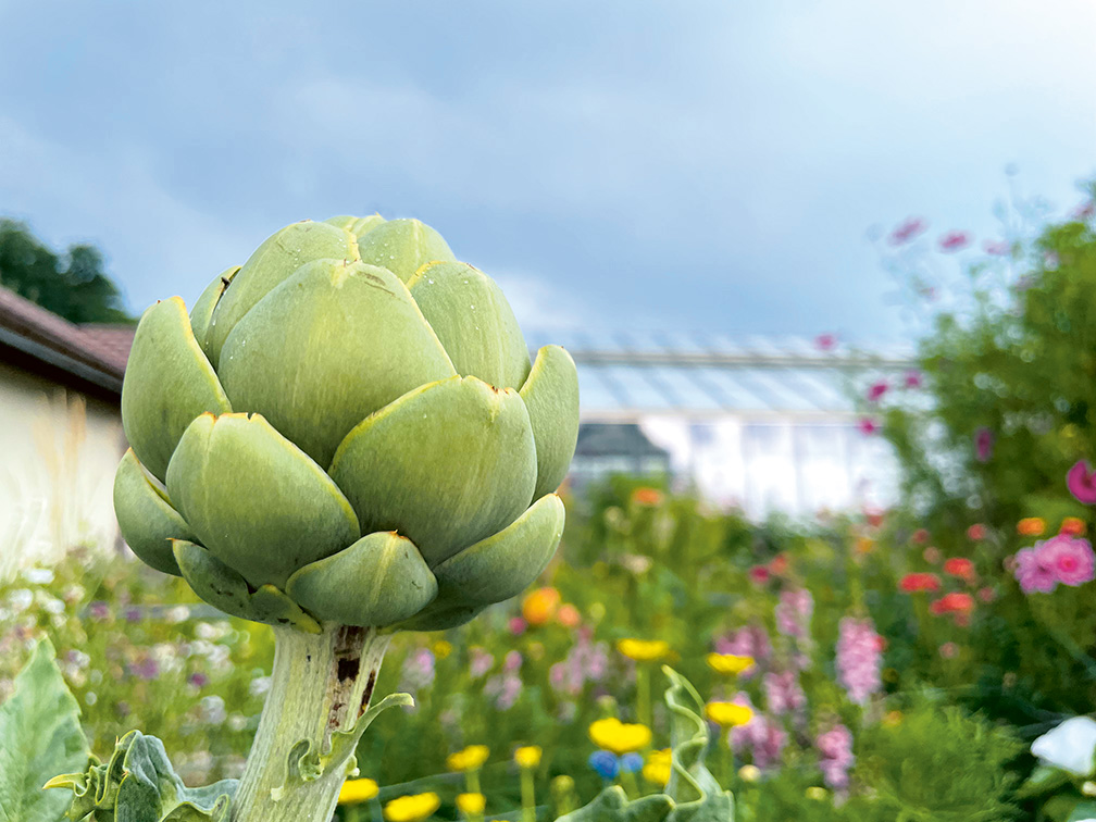 Das Zehendermätteli ist mehr als ein beliebtes Ausflugsziel.
