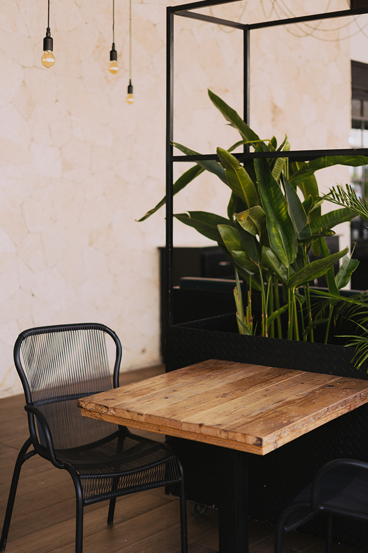 Zimmerpflanzen als Schalldämpfer