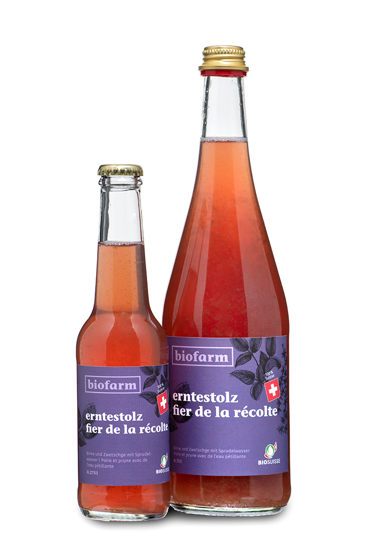 Erntestolz Zwetschge