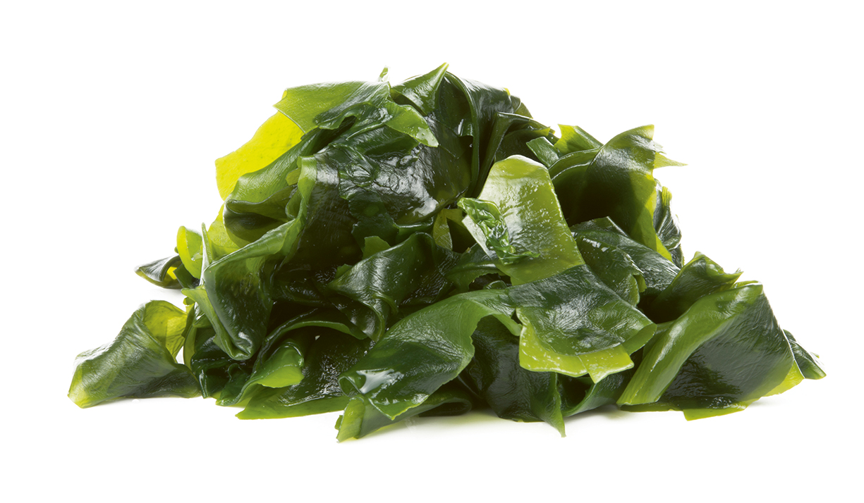 Meeresalgen sind auch für unzählige Pharma- und Kosmetikprodukte interessant.