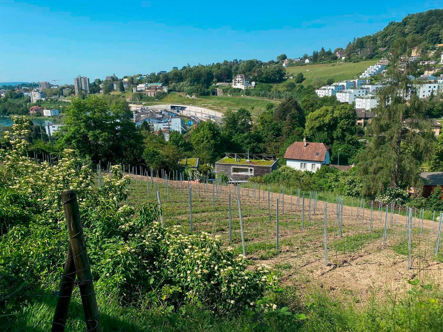 Schöne Weine mit bester Ökobilanz - Aufbau der Innovationsbasis Stokarberg abgeschlossen