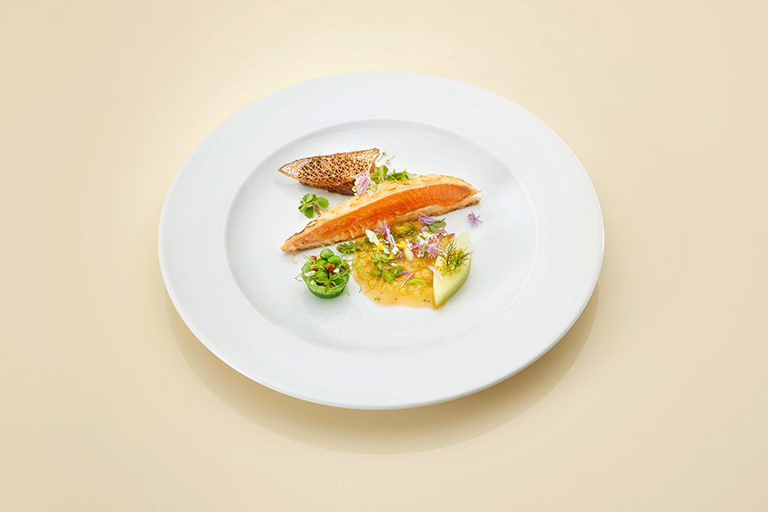 Saiblingsfilet-Gurke mit Ziegenfrischkäse- Morchel- Erbsen