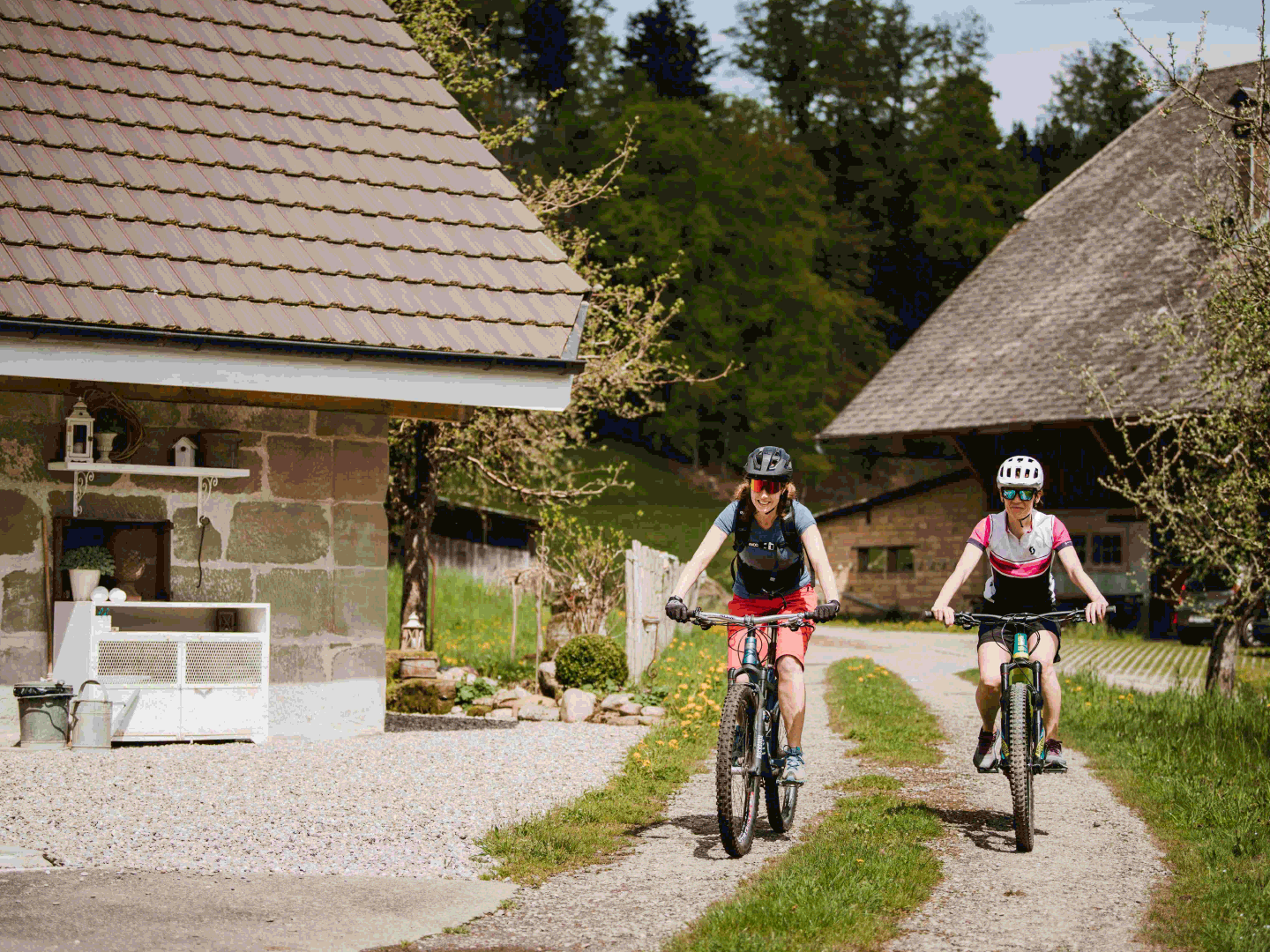 Winter gut – Sommeraussichten sehr gut: Parahotellerie Schweiz erfreut über grosse Nachfrage
