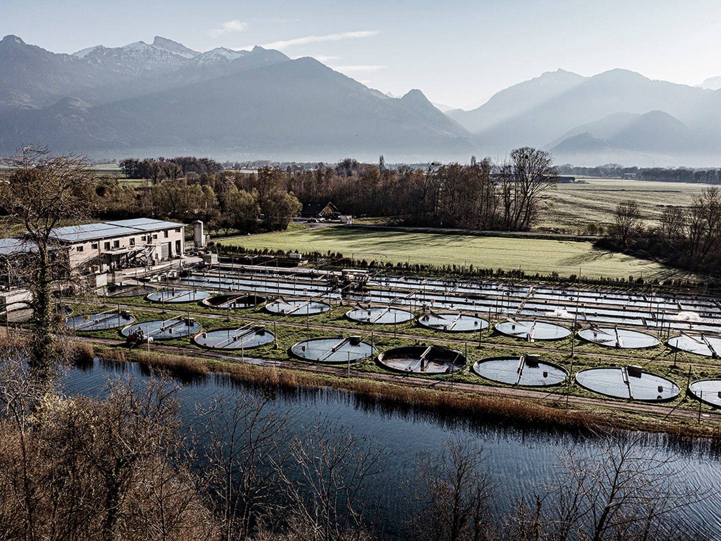 Grösste Schweizer Forellenzucht, Pisciculture de Vionnaz